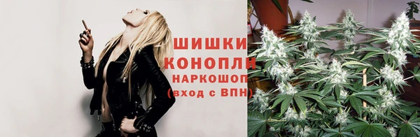 соль ск Медвежьегорск