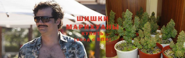 каннабис Алексин