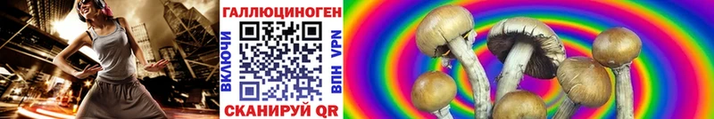 Галлюциногенные грибы MAGIC MUSHROOMS  где купить   блэк спрут сайт  Галич 